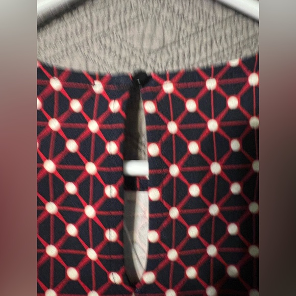 Banana Republic A line sleeveless shift dress size medium navy and red - Picture 4 of 7